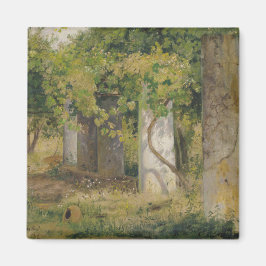 Pergola med druvor från Vin (vinodling i landskape Magnet