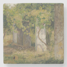 Pergola med druvor från Vin (vinodling i landskape Stenunderlägg