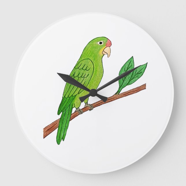 Perico verde del trópico stor klocka (Framsida)