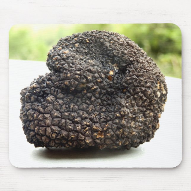 Perigord Truffle-Musmatta Musmatta (Framsidan)