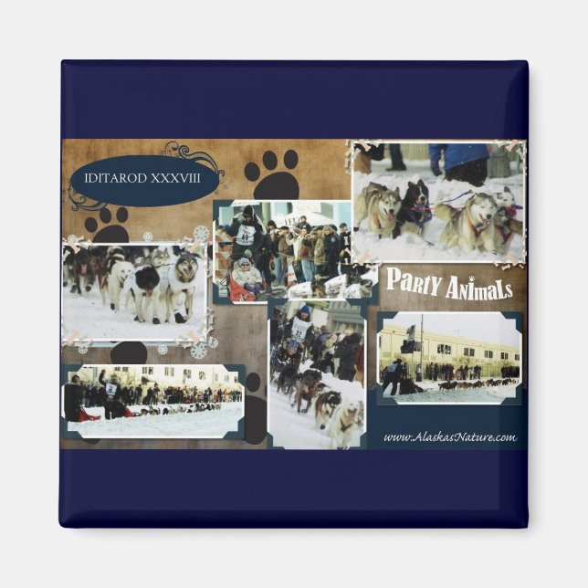 Period 2010 magnet (Framsidan)