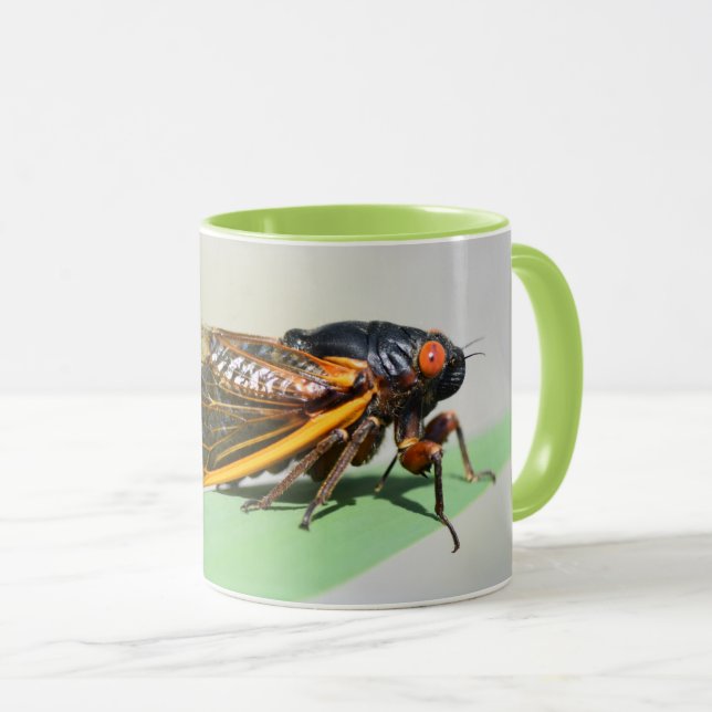 Periodiskt cicada mugg - njut av kaffe med Brood X (Framsida höger)
