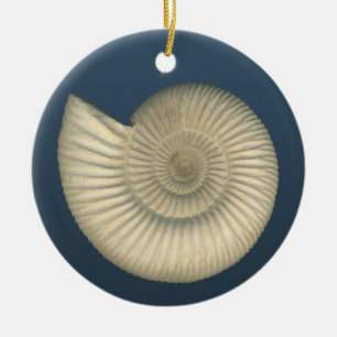 Perisphinctes Ammonite Julgransprydnad Keramik
