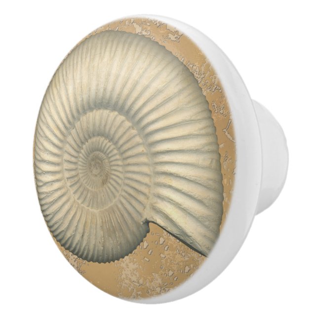 Perisphinctes Ammonite Knopp (Höger)