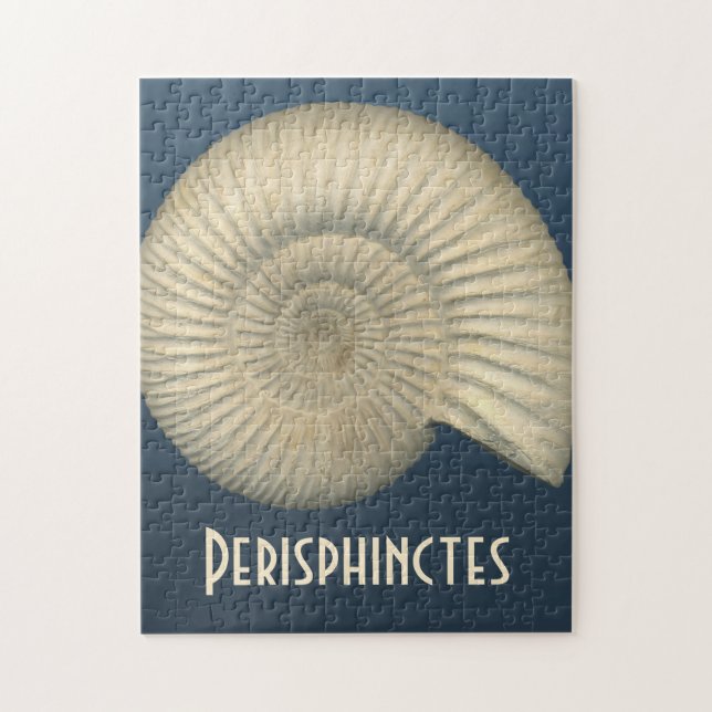 Perisphinctes Ammonite Pussel (Vertikal)