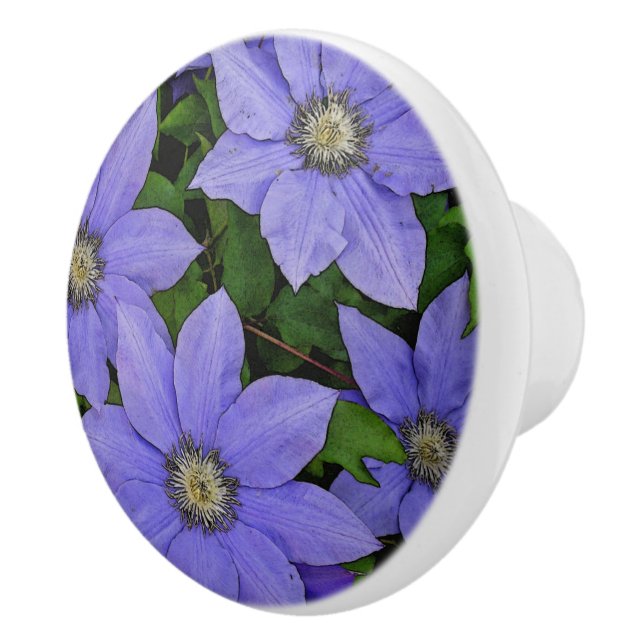 PERIWINKLE BLUE CLEMATIS KNOPP (Höger)
