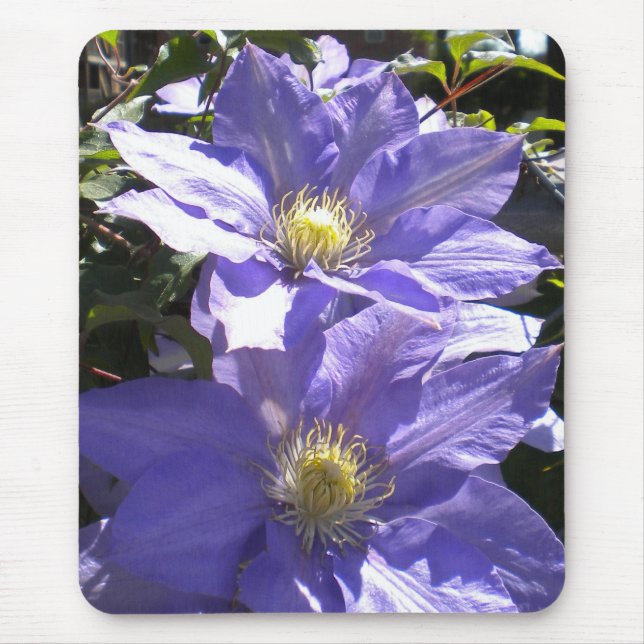 Periwinkle Clematis Mousepad Musmatta (Framsidan)