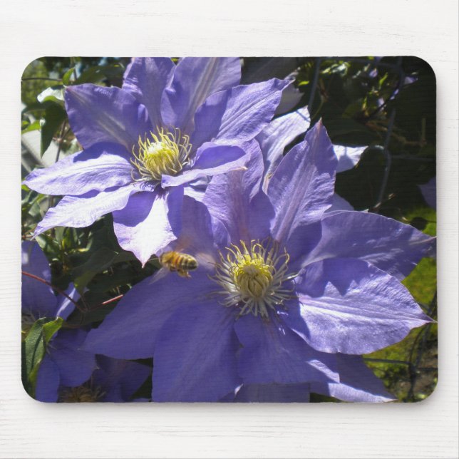 Periwinkle Clematis och Bee mousepad Musmatta (Framsidan)