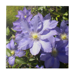 Periwinkle Clematis Tile Kakelplatta