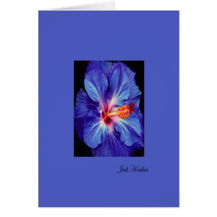 Periwinkle~Ett av de mest använda Färgerna Hälsningskort