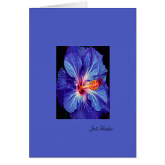 Periwinkle~Ett av de mest använda Färgerna Hälsningskort