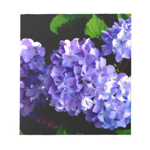 Periwinkle hydrangeas lila blommor blåa blommor anteckningsblock