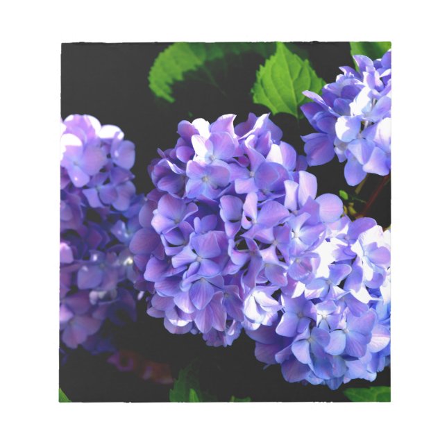 Periwinkle hydrangeas lila blommor blåa blommor anteckningsblock (Framsida)