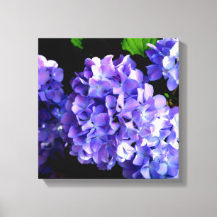 Periwinkle hydrangeas lila blommor blåa blommor canvastryck
