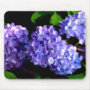 Periwinkle hydrangeas lila blommor blåa blommor musmatta
