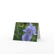 Periwinkle Iris Flower Bröllop Tack
