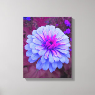Periwinkle N Rosa Zinnia Wrapped Canvas