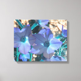 Periwinkle N Teal Nicotiana Wrapped Canvas
