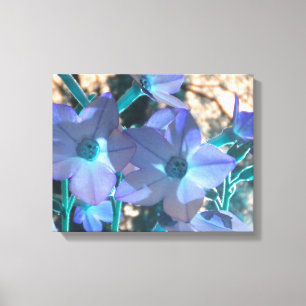 Periwinkle N Teal Nicotiana Wrapped Canvas