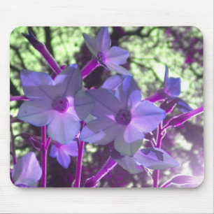 Periwinkle Nicotiana mousepad Musmatta