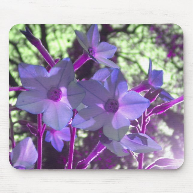 Periwinkle Nicotiana mousepad Musmatta (Framsidan)