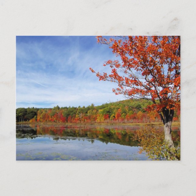 Perkins Pond Autumn Scene Vykort (Framsida)