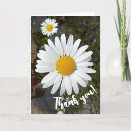 Perky White Daisy Flower - tackkort