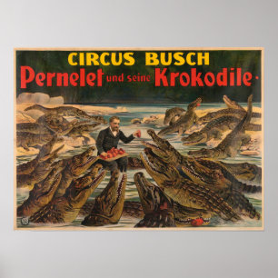 Pernelet och hans krokodiler Busch Circus Poster