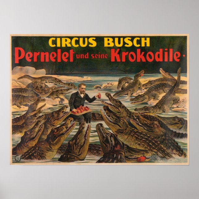 Pernelet och hans krokodiler Busch Circus Poster (Framsidan)