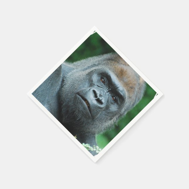 Perplexed Gorilla Pappersservett (Hörn)