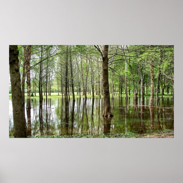 Perrin Park Poster (Framsidan)