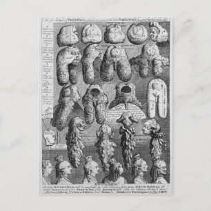 Perriwigs fem beställningar, 1761 vykort