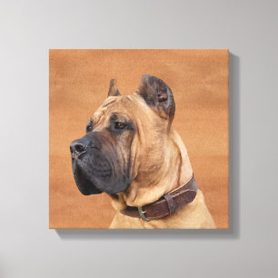 Perro de Presa Canario - Dogo Canario Canvastryck