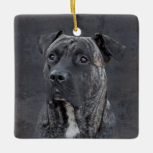 Perro de Presa Canario - Dogo Canario Julgransprydnad Keramik