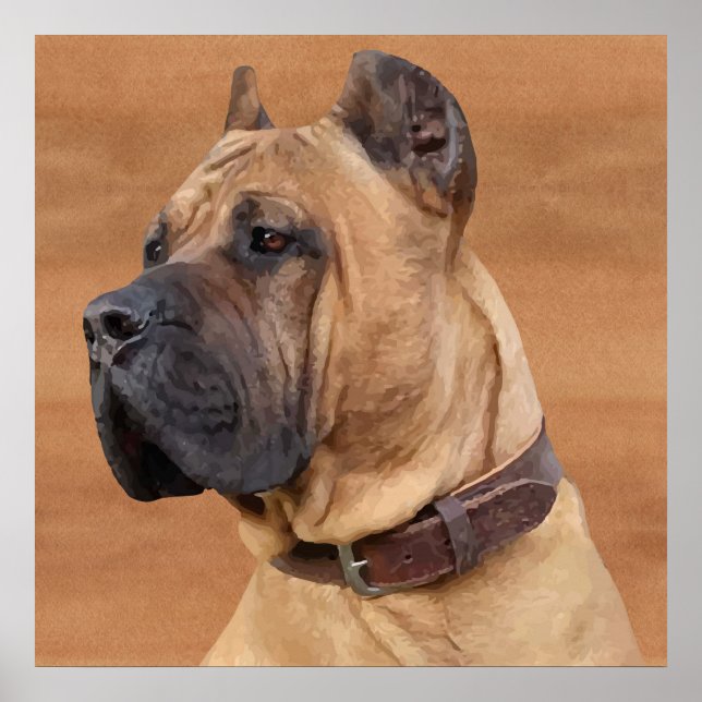 Perro de Presa Canario - Dogo Canario Poster (Framsidan)