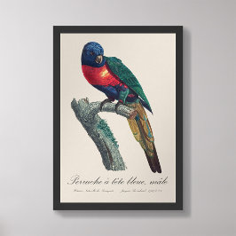 Perruche a tetbleue/Rainbow lorikeet Fototryck