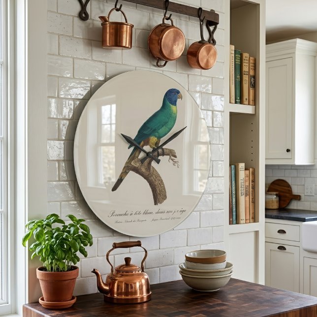 Perruche a tetbleue/Rainbow lorikeet, juvenile Stor Klocka (Perruche a tete bleue / Rainbow lorikeet, juvenile. Large Clock)