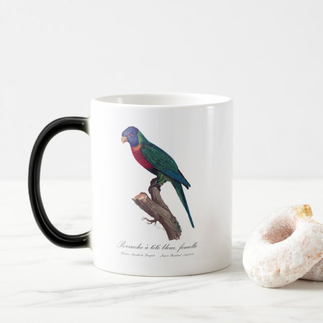 Perruche a tete bleue, femelle/Rainbow lorikeet, Magisk Mugg (Med munk)