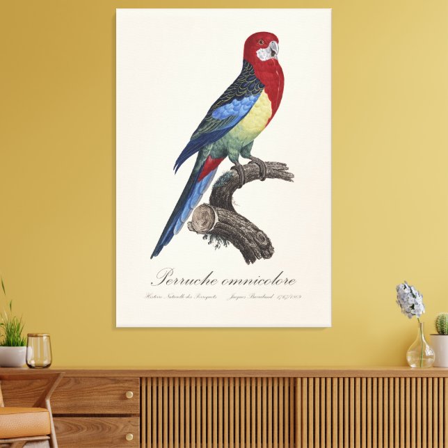 Perruche omnicolore/Östra rosella Canvastryck (Insitu (Vardagsrum))
