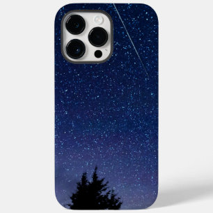 Perseid Meteor Shower