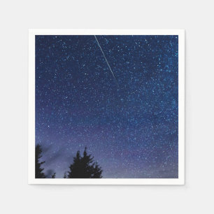 Perseid Meteor Shower Pappersservett