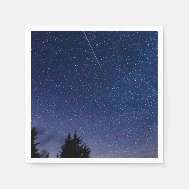 Perseid Meteor Shower Pappersservett (Framsidan)
