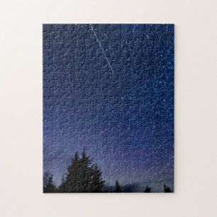 Perseid Meteor Shower Pussel