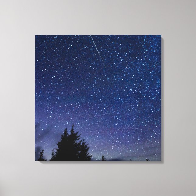 Perseidmeteorregn Canvastryck (Framsida)