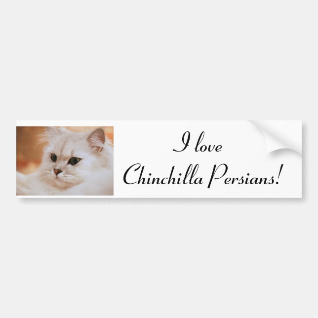Perser för Freddie ~-Chinchilla Bildekal (Framsidan)