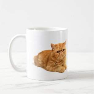Perserkatt Kaffemugg