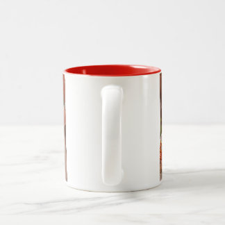 Perserkatt Två-Tonad Mugg