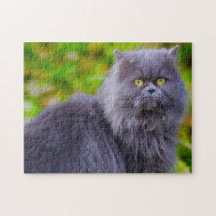 Perserkatten.