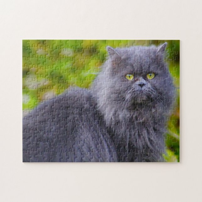 Perserkatten. Pussel (Horisontell)