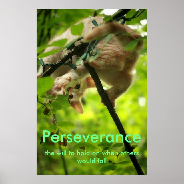 Perserverance Poster (Framsidan)